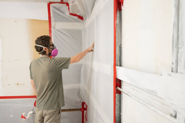 Best Air Quality Testing for Mold Spores  in Jesup, IA
