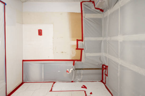 Best Water Damage & Mold Remediation  in Jesup, IA