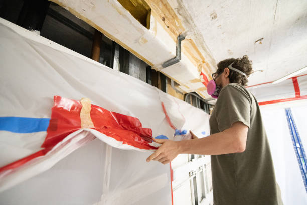 Best Airborne Mold Testing  in Jesup, IA