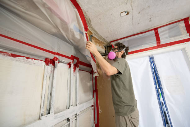 Best Post-Construction Mold Inspection  in Jesup, IA