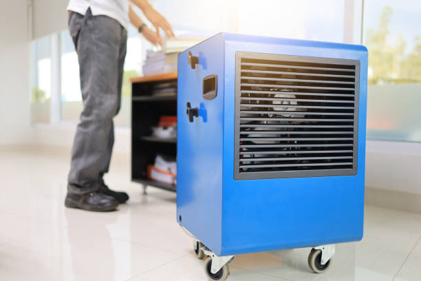 Best Mold Damage Restoration  in Jesup, IA