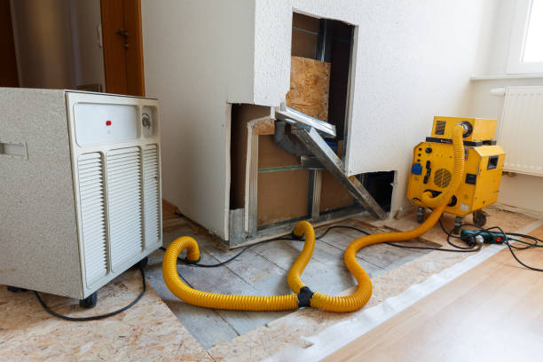 Best Air Quality Testing for Mold Spores  in Jesup, IA