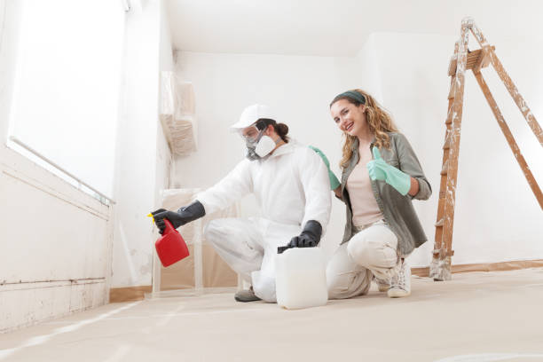 Best Attic Mold Removal  in Jesup, IA